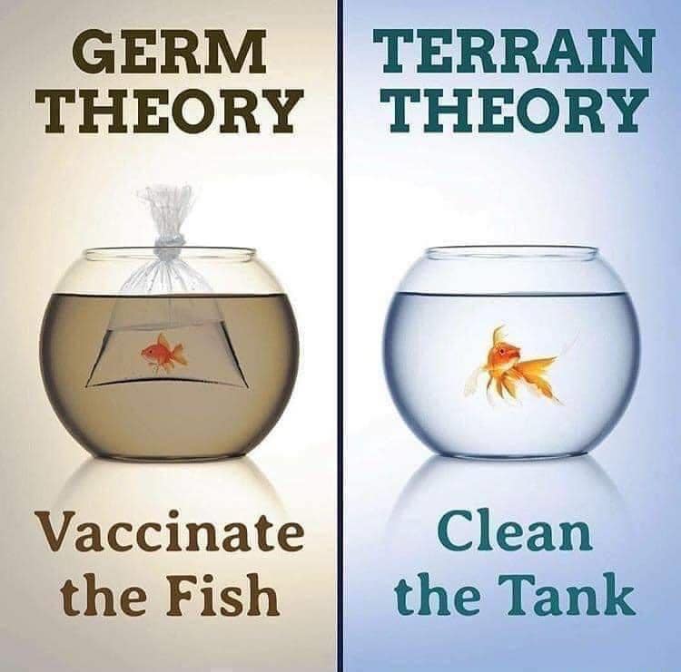 the-germ-theory-a-deadly-fallacy-what-really-makes-you-ill