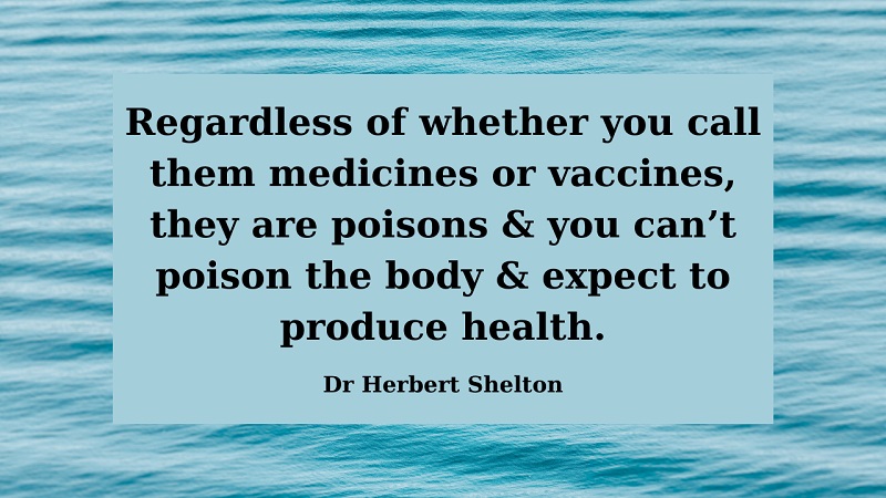 disease-madness-what-is-happening-part-1-what-really-makes-you-ill